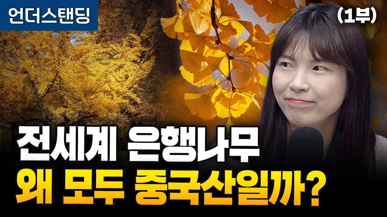 (1부) 전세계 은행나무, 왜 모두 중국산일까? (안주현 박사)