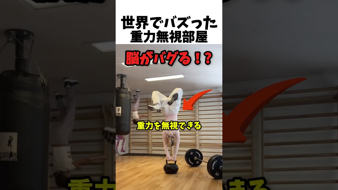 世界でバズった重力無視部屋