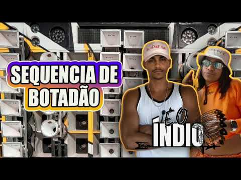 É O ÍNDIO FEAT. MC DANNY - SEQUÊNCIA DE BOTADÃO | Pra Bater No Paredão 2021