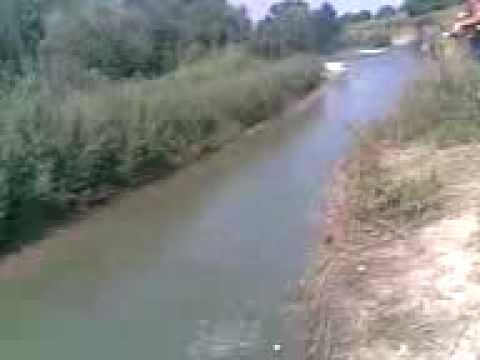 gaoaza saritura mortala ibrianu