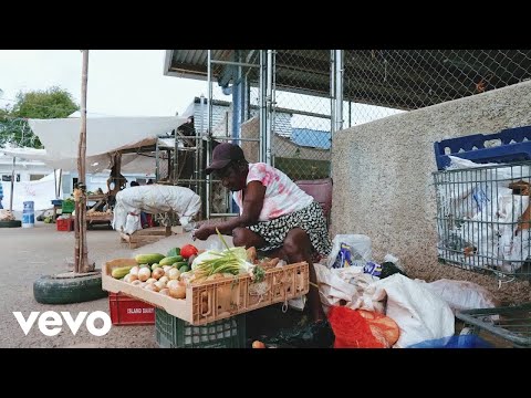 SanityDsane1 - Human Nature (Official Video)