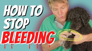 Bleeding Won’t Stop These 5 Home Hacks Could Save a Life!