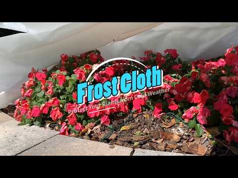 Frost Cloth Lowes