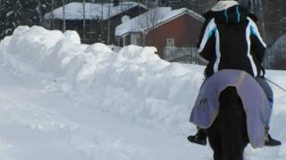 Sohvi~Something Holy