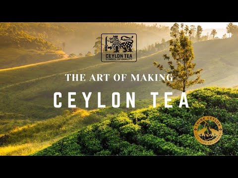 A arte de fazer chá de Ceilão