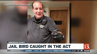 Hendricks County Jail Bird