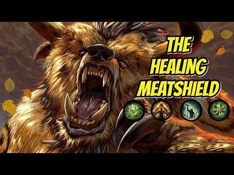Druid PvP Tank Healer Build Guide (Wearbear Version) Diablo Immortal 
