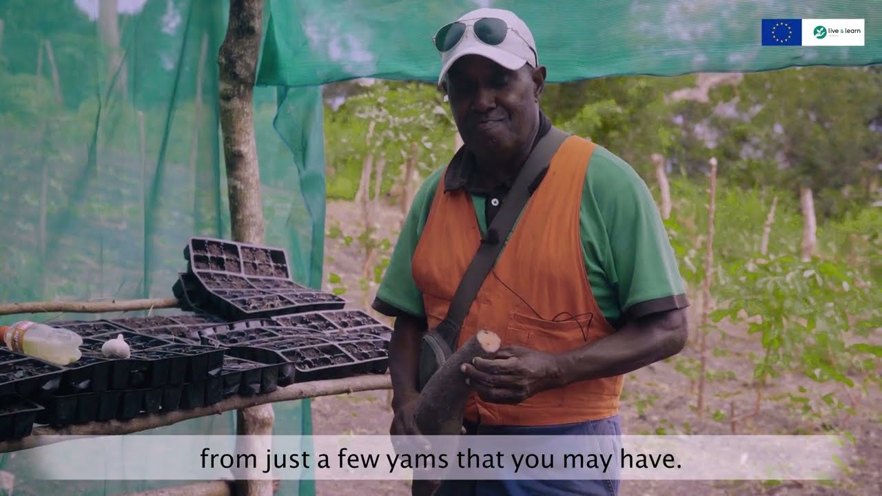 Growing Yams: Propagation in Practice
