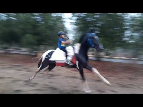 7 yr old Atharv Srivastava (KV Gachibowli) horse Rider 3