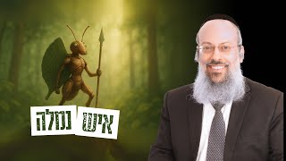 פרשת שלח | זריזות או בהילות? ההבדל שבונה או הורס אותך | זה לא המציאות. זו התודעה ᴴᴰ (הרב שי עטרי) - התמונה מוצגת ישירות מתוך אתר האינטרנט יוטיוב. זכויות היוצרים בתמונה שייכות ליוצרה. קישור קרדיט למקור התוכן נמצא בתוך דף הסרטון