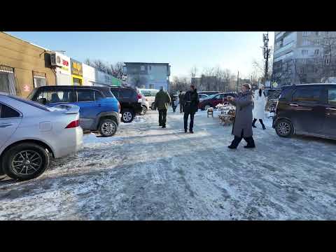 Во Владивостоке юрлицам напоминают о необходимости уборки и вывоза снега с территорий.