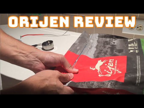 Orijen Brand Dog Food Review