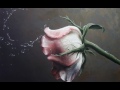 Handel - Lascia la spina cogli la rosa - Cecilia Bartoli