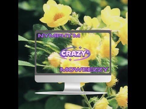 Crazy (feat. Moweezzy)