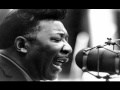 Muddy Waters - I Want to be Loved - 1955