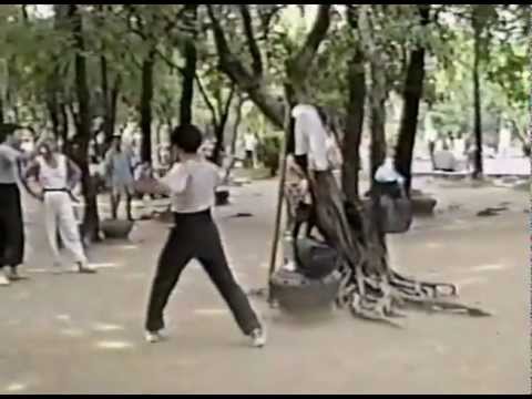 Chinese Sword Form Chin Ping Swordsmanship by Master Simon Chen