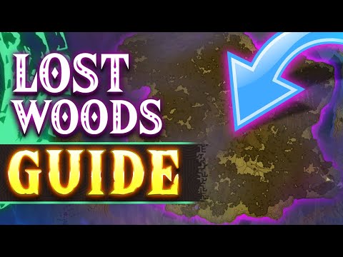 How To Enter THE LOST WOODS in Tears of The Kingdom | Guide & Walkthrough