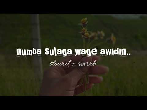 Numba sulaga wage awidin (slowed + reverb)