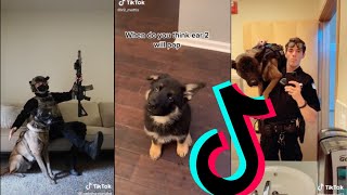 Amazing k9 Police Dogs TikTok Compilation #1 | Dogs Of TikTok