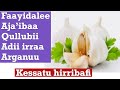 Qullubii Adiin Fayyada Kan Maara ‍ ️ Health Benefit Of Garlic