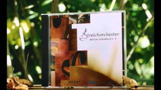 preview picture of video 'Felix Mendelssohn Sinfonie XI 1. Satz Scherzo'