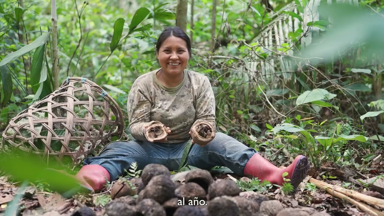 Comunidades indígenas