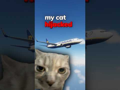 My Cat Hijacked My Airplane 🐈✈️💥