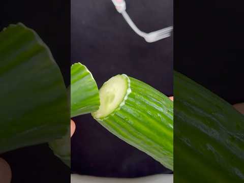 Strange cucumber knowledge from @whatthepato