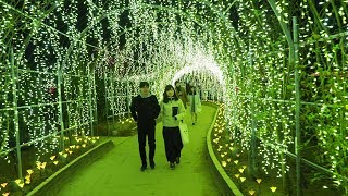 Ashikaga Flower Park【Christmas Lights】2018 #あしかがフラワーパーク #4K