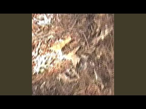 Video thumbnail for Tough Luck