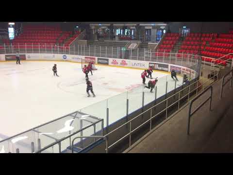 Viking Cup - Nybro Vikings-Täby HC team 06 - 1 Okt