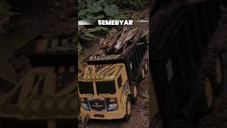 Download lagu NEK MANUT YO TAK PERTAHANKE, NEK ORA YO TINGGAL GOLE SING LIANNE #truck #katakatabijak mp3