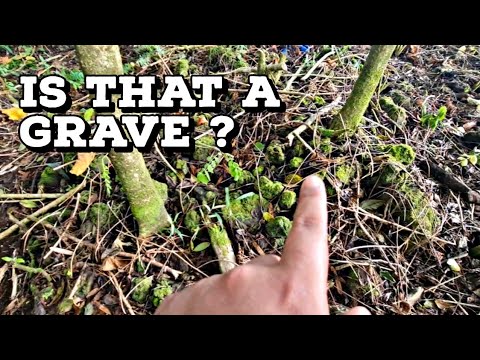 ACCIDENTALLY PLANTED TARO NEXT TO A POSSIBLE GRAVE👀 | Made faalifu with some uli's🥰 | SAMOA🇼🇸