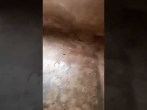 Single Room for Rent at Olowo Ina, Off Ikotun–Igando Road