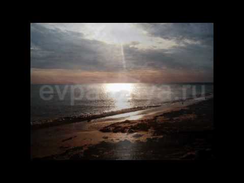 NatLife - Eupatoria(in real picture)