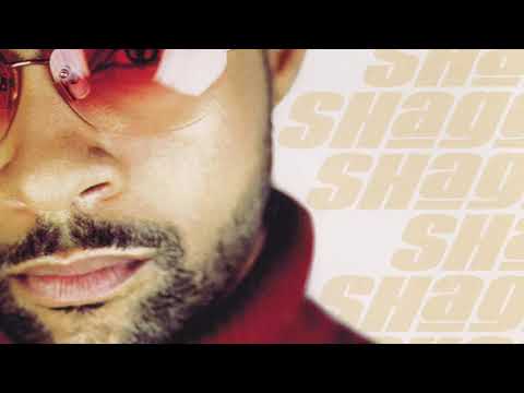 Shaggy & Janet Jackson - Luv Me, Luv Me