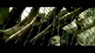 Warriors Anthem - Wyclef Jean