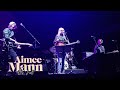 Aimee Mann / It's Not (Live)