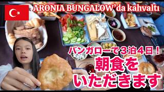 【トルコお泊まり】バンガローで３泊４日！朝食をいただきます。ARONIA BUNGALOW'da kahvaltı.