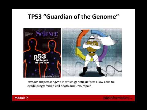 Somatic Mutations and Annotations