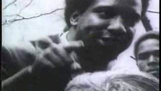 I Am A Revolutionary (Fred Hampton)