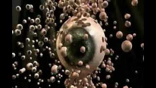 The Residents - Laughing Song (2009)