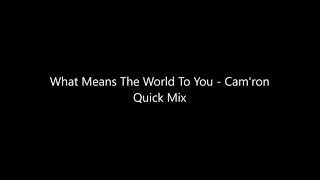 What Means The World To You   Cam&#39;ron Quick Mix