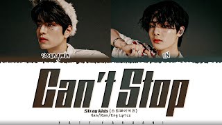 Cover art for cant stop