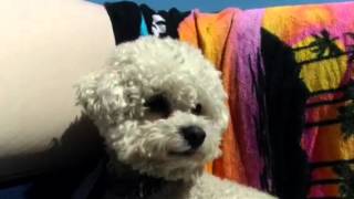 The World According to Gabby Girl