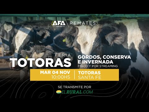 Remate AFA Gordos, Conserva e Invernada desde Totoras Santa Fe