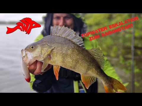 Topwater Eskalation zum Saisonstart