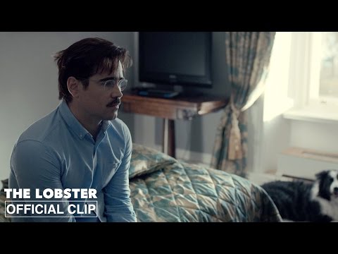 The Lobster (Clip 'Excellent Choice')