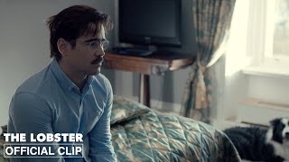 The Lobster | Excellent Choice | Official Clip HD | A24