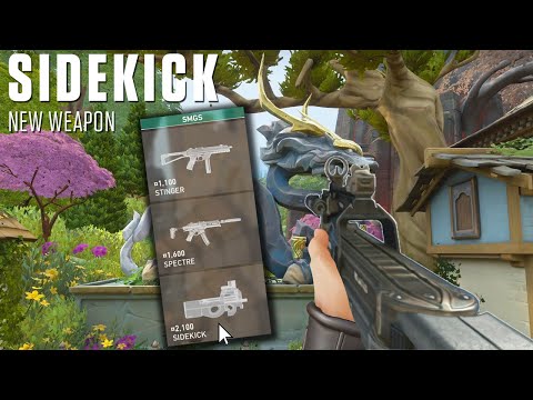 NEW WEAPON Coming to Valorant (LEAK)